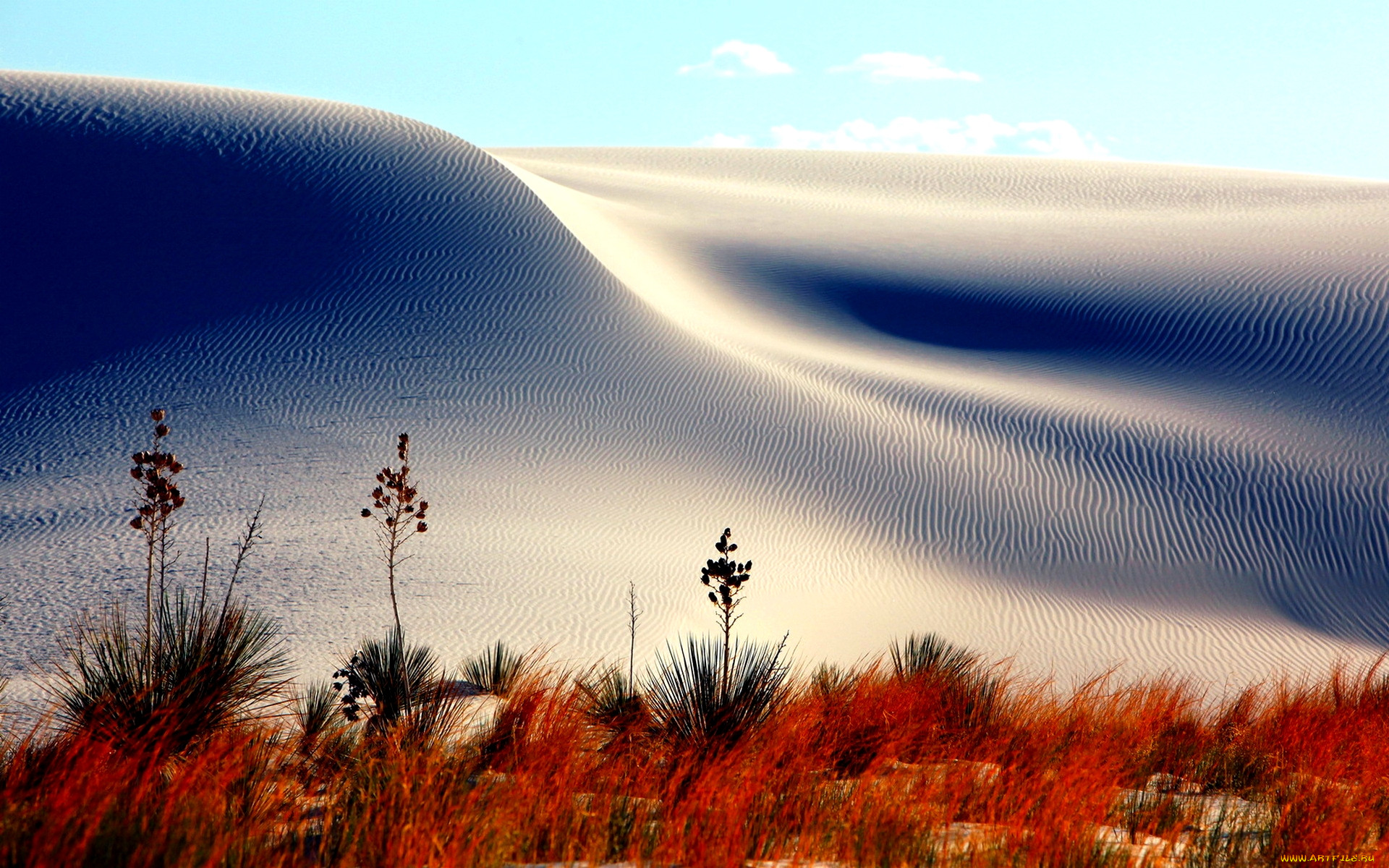 sand, dunes, , , , , , , 